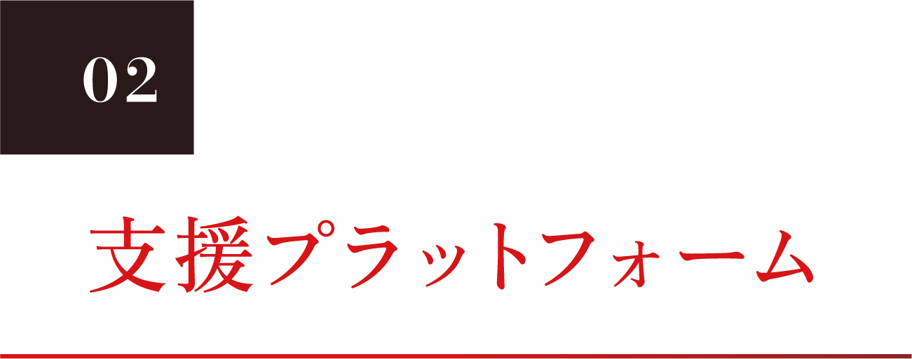 02 支援プラットフォーム